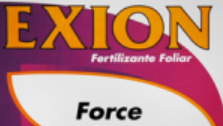 Exion Force